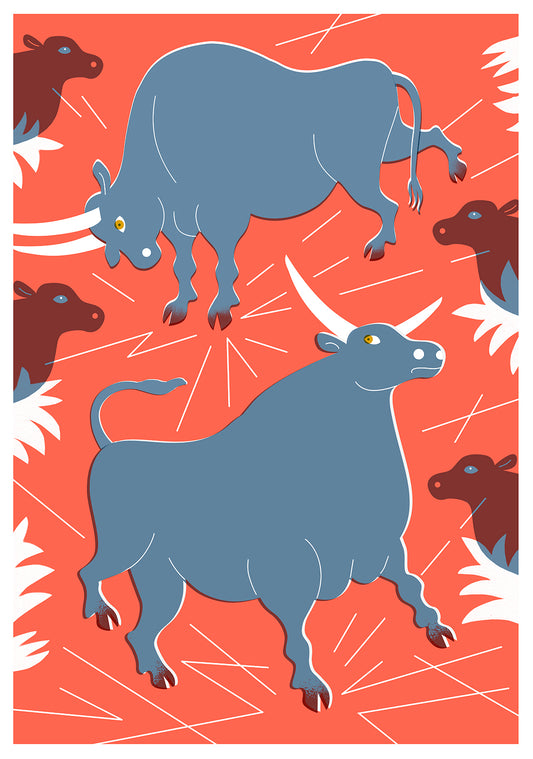 Bulls and Cows